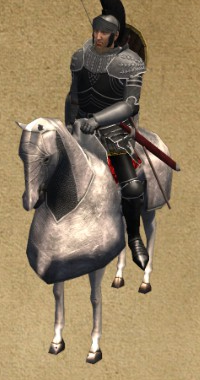 Guardian Empire Knight