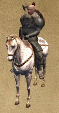 Mystmountain Warrior