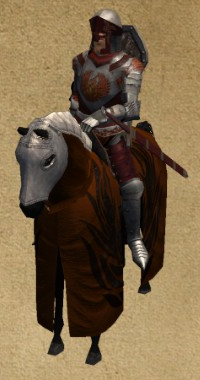 Knight of the Phoenix